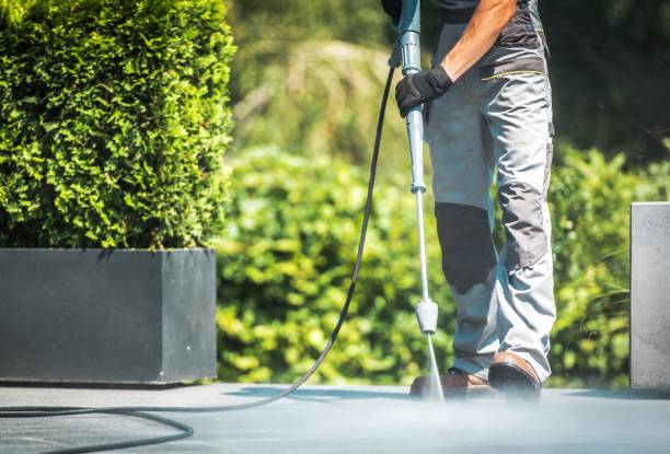 Best Fence Cleaning  in Fort Scott, KS